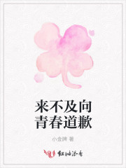 来不及向青春道歉