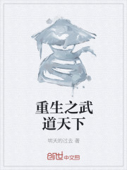 重生之武道天下