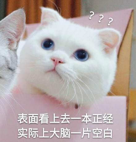 烙梅双生劫