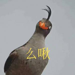小神仙