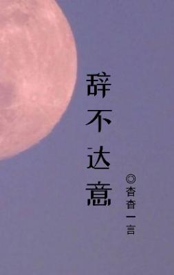 辞不达意