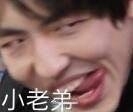 （综）这个太宰是不是哪里不对？